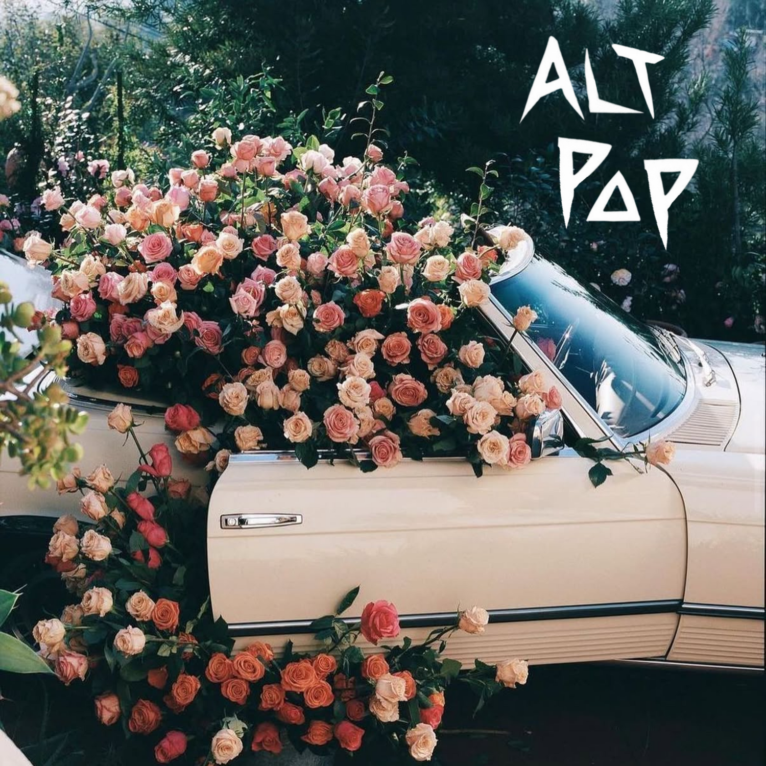 Alt Pop Beats
